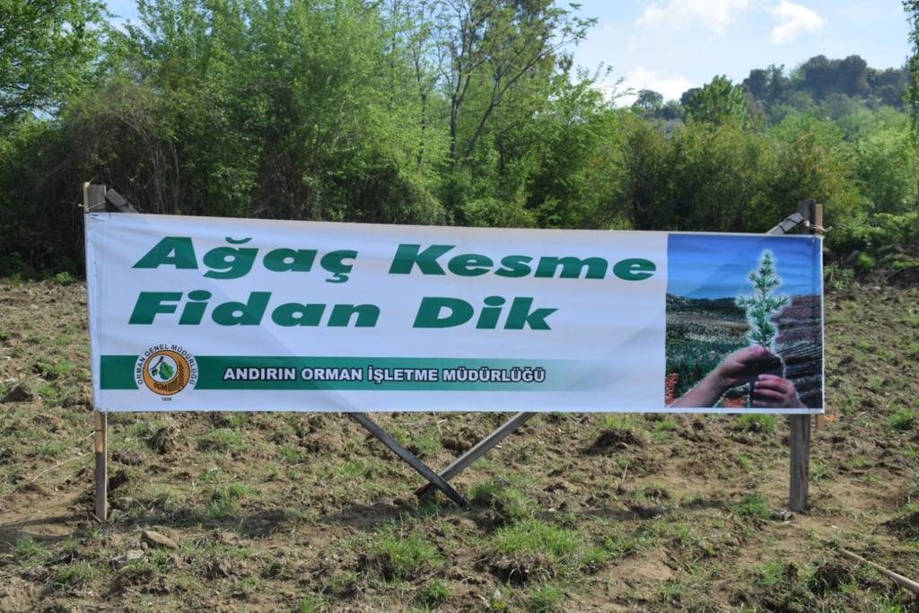 "Ağaç Kesme Fidan Dik" kampanyası